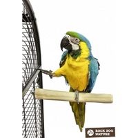 Играчки за папагали - 64883 типа