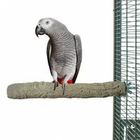 папагал ара - 64195 цени