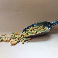 папагал ара - 74397 варианти