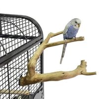 Ръчно хранене на папагали - 85008 разновидности