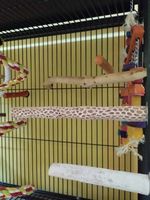 витамини за папагали - 97306 клиенти