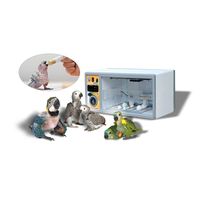 витамини за папагали - 78009 новини