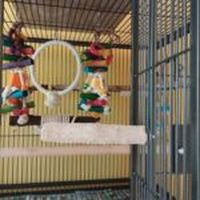 волиери - 94198 клиенти