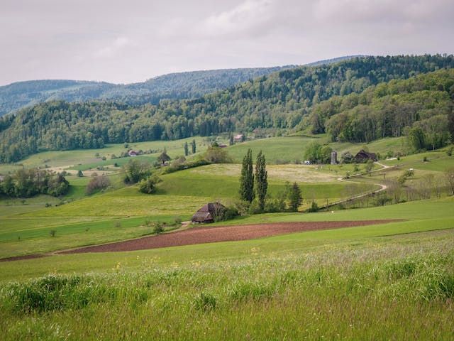 ОСП - 72000 отстъпки