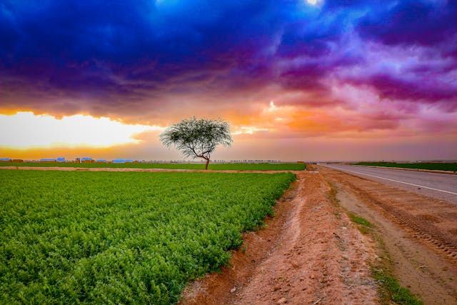 видео новини - 24580 варианти