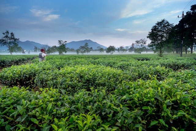 видео новини - 20462 постижения