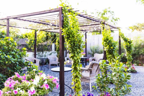 Перголи - 47770 вида