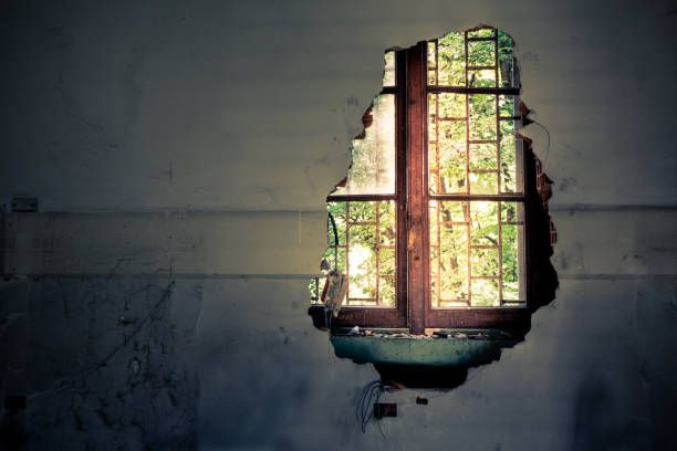 къртене на подпрозорец - 48685 новини