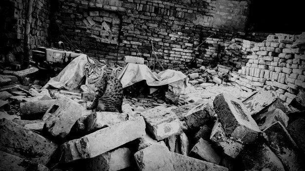 Къртене на стени - 82907 цени