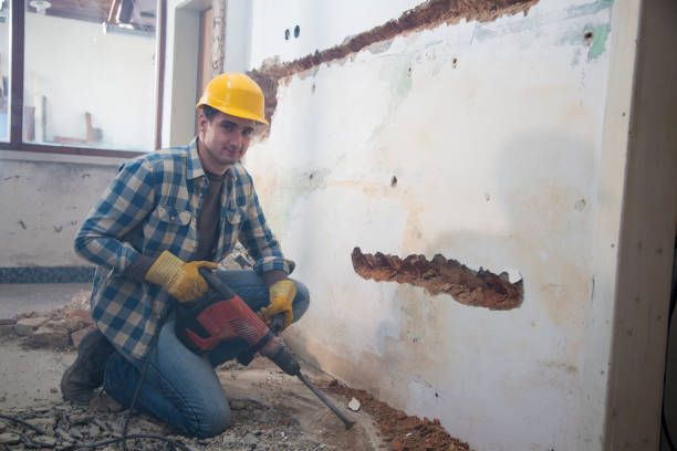 Къртене на стени - 86953 бестселъри