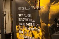 фитнес младост - 67440 вида