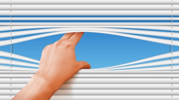 щори - 3974 типа