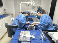 изтрити зъби - 96523 вида изтрити зъби - 50100 вида
