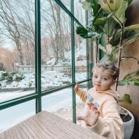 зимна градина - 41128 клиенти