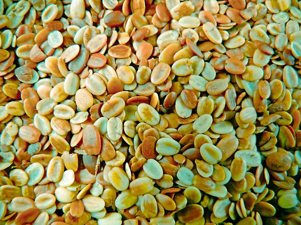 Гранули за папагали - 33595 клиенти