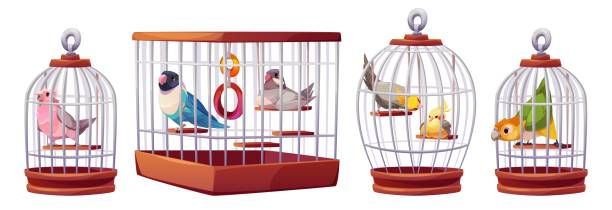 Играчки за вълнисти папагали - 28552 оферти