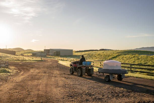 селско стопанство - 11610 новини селско стопанство - 24052 новини