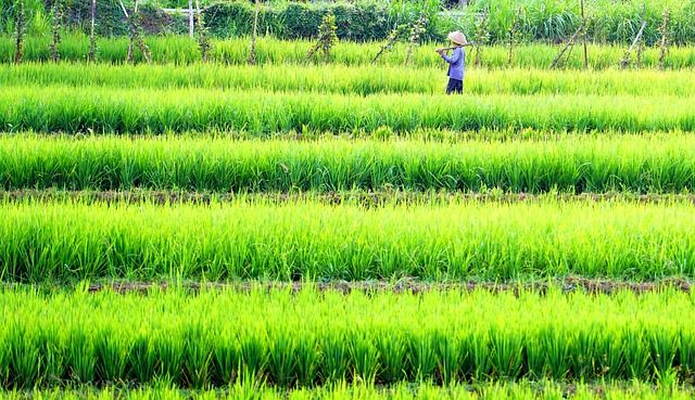 ССА - 12252 предложения