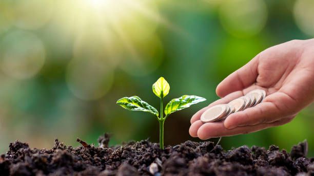 субсидии - 19876 награди субсидии - 64896 награди