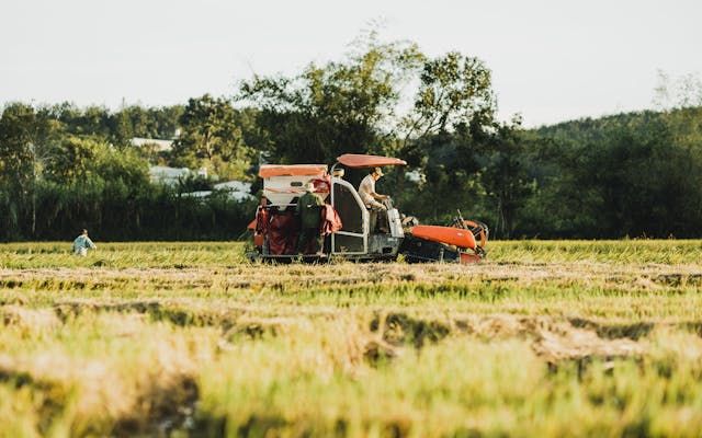 фермер - 19446 цени | agrovest фермер - 55904 цени