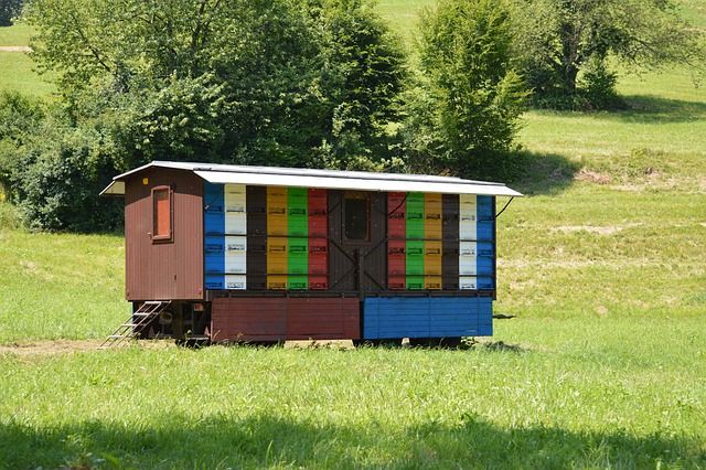 пчеларство - 35139 клиенти пчеларство - 87723 клиенти