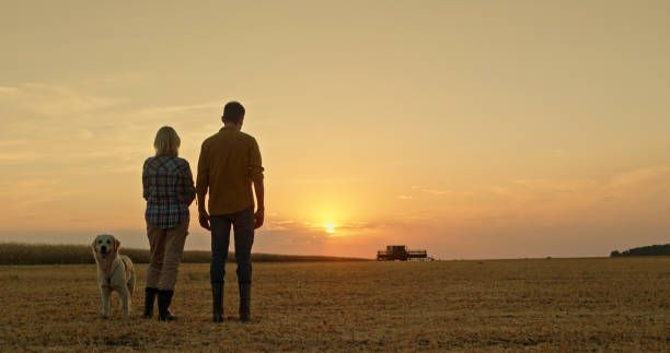 земеделец - 1778 новини | agrovest земеделец - 32668 новини