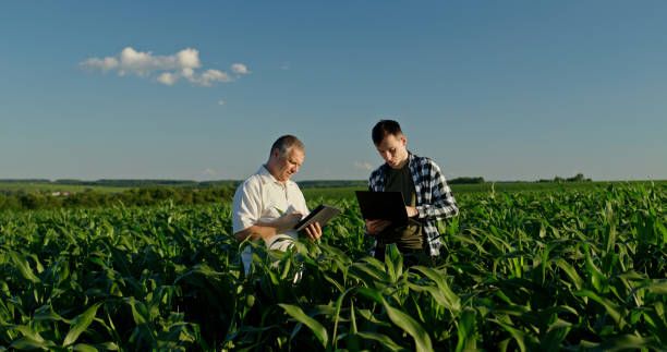 земеделец - 90305 типа земеделец - 11624 типа