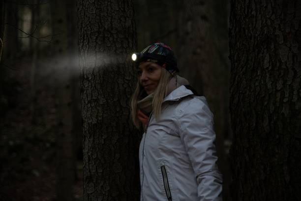 челници - 69517 снимки