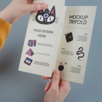 флаери - 87776 типа